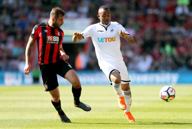 的特點吸引 的特點吸引